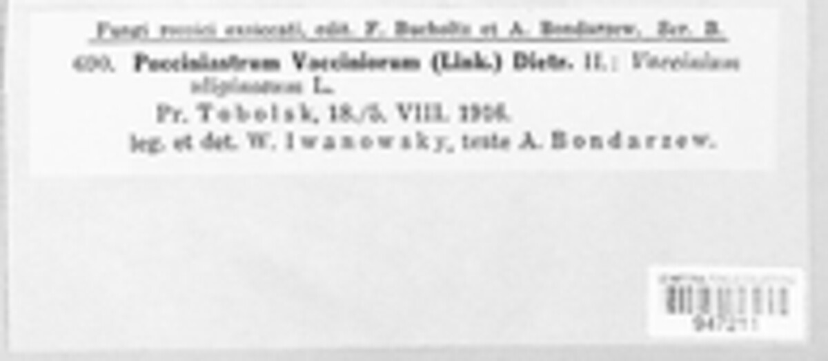 Naohidemyces vaccinii image